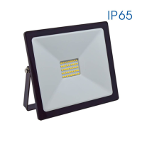 Proiector LED IP65 30W 4000K, Vivalux