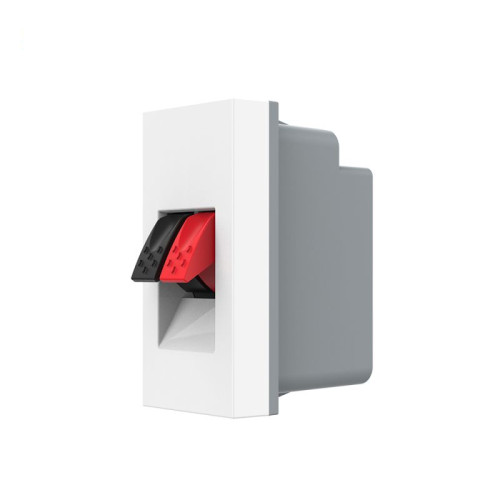 Priza cabluri audio 1M alb, Livolo