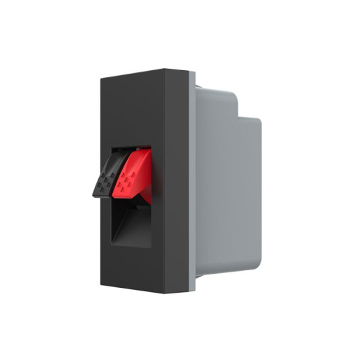 Priza cabluri audio 1M negru, Livolo