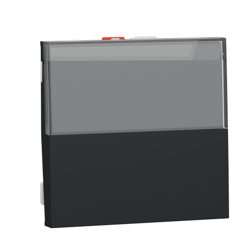 Intrerupator cu revenire NO/NC cu sport eticheta Unica 2M antracit 10A, Schneider